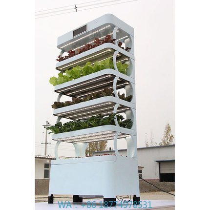 Smart Garden Home - arming Home Hydroponic Growing SystemsNew Arrival