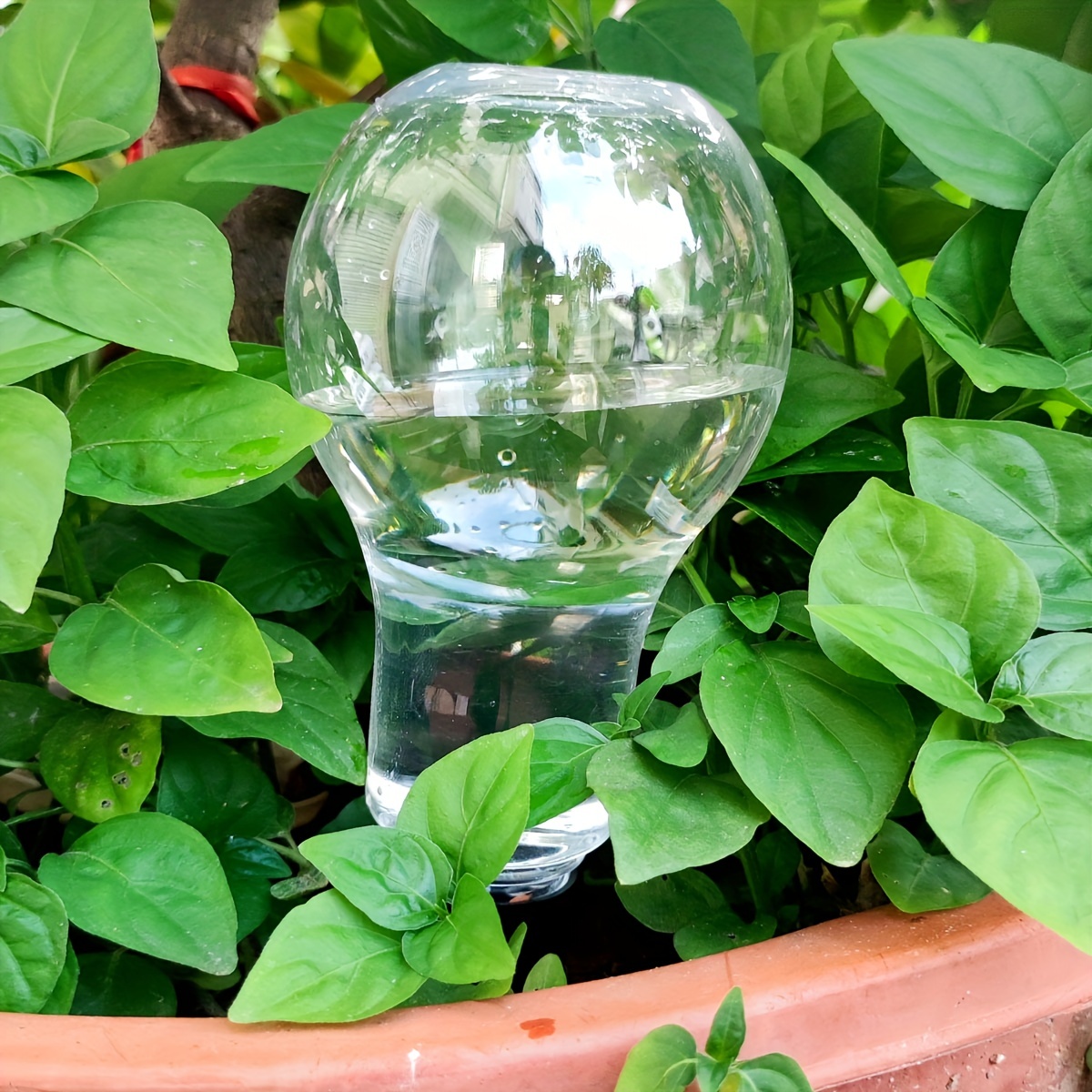 Garden Automatic Watering Tool - đánh giá và giá Smart Garden Watering