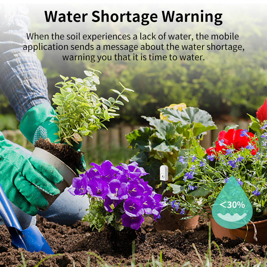 Smart ZigBee Soil Moisture Sen - đánh giá và giá Smart Garden Sensors