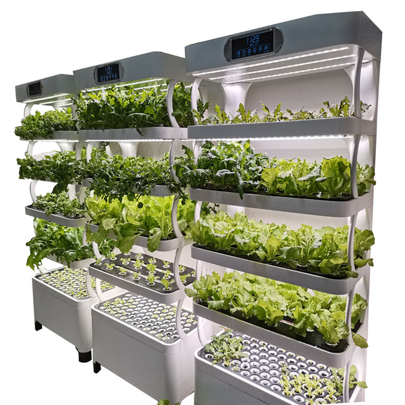 Indoor Smart Low Cost Hydropon - đánh giá và giá Smart Garden Indoor