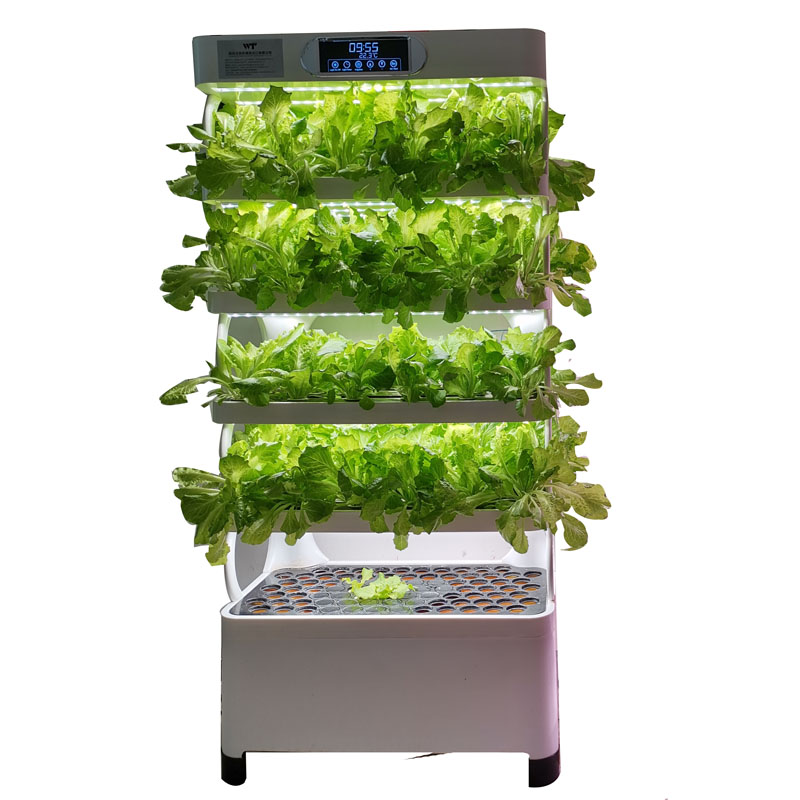 Indoor Smart Low Cost Hydropon - đánh giá và giá Smart Garden Indoor