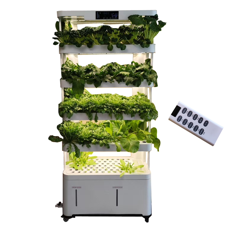 Indoor Smart Low Cost Hydropon - đánh giá và giá Smart Garden Indoor
