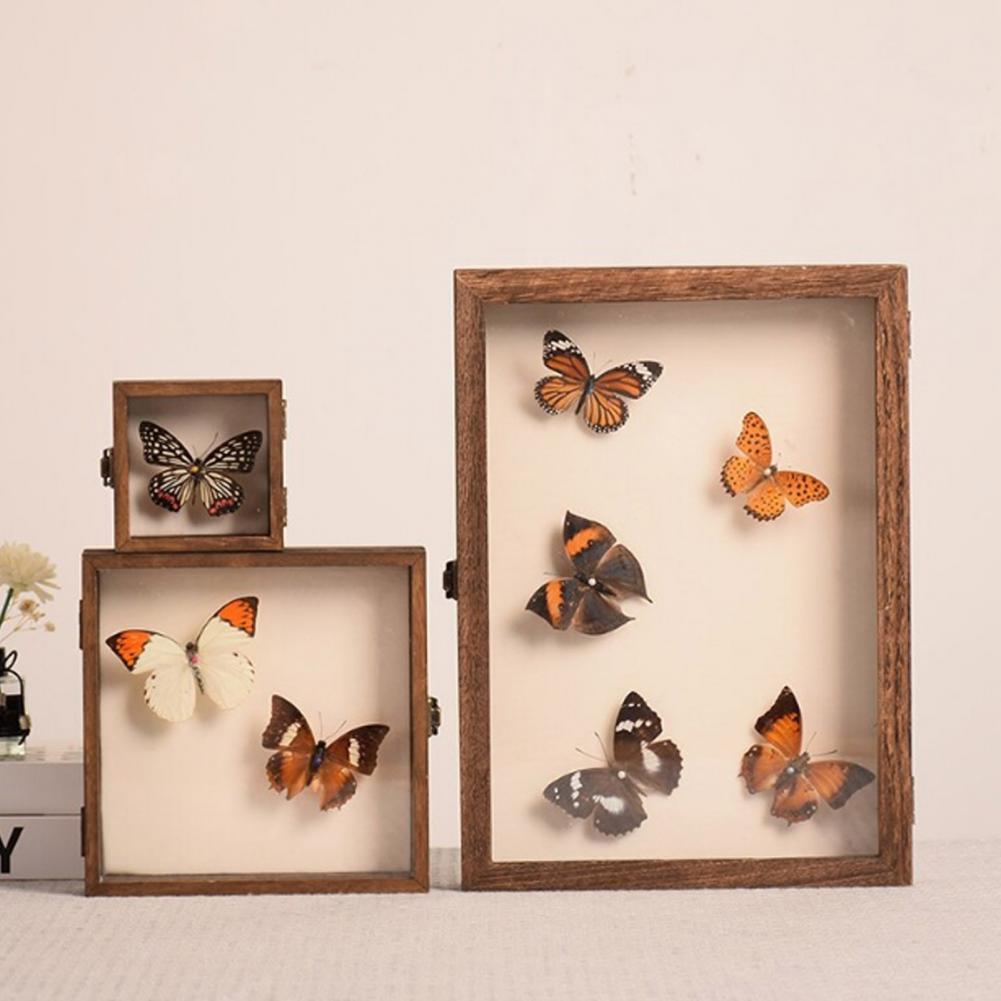 Wooden Display Case Butterfly  - đánh giá và giá Insect Hotel Wood