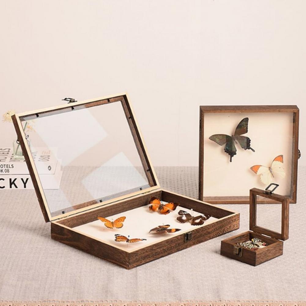 Wooden Display Case Butterfly  - đánh giá và giá Insect Hotel Wood