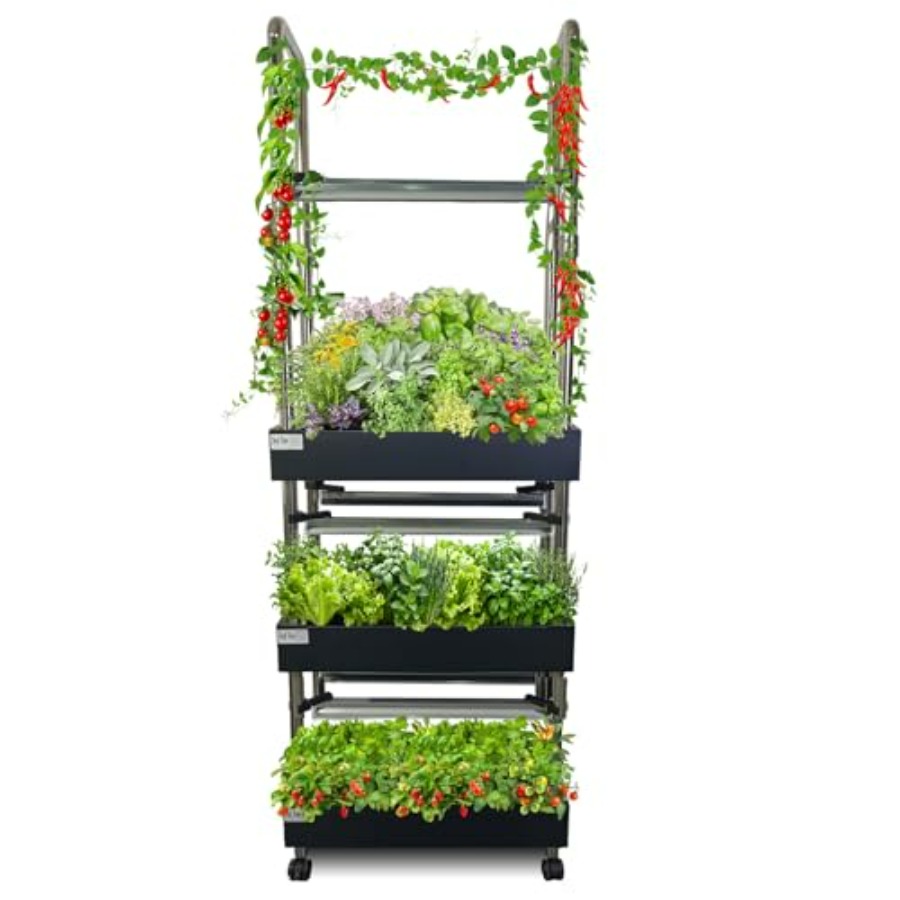 Indoor hydroponics growing sys - đánh giá và giá Smart Garden Indoor