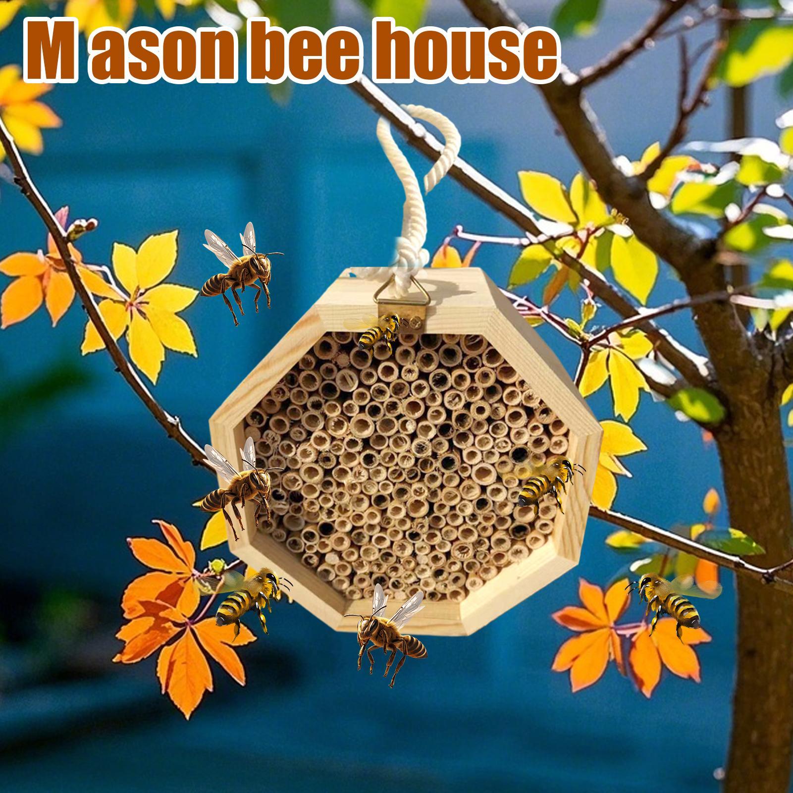 Wooden Insect Bee House Wood B - đánh giá và giá Insect Hotel Wood