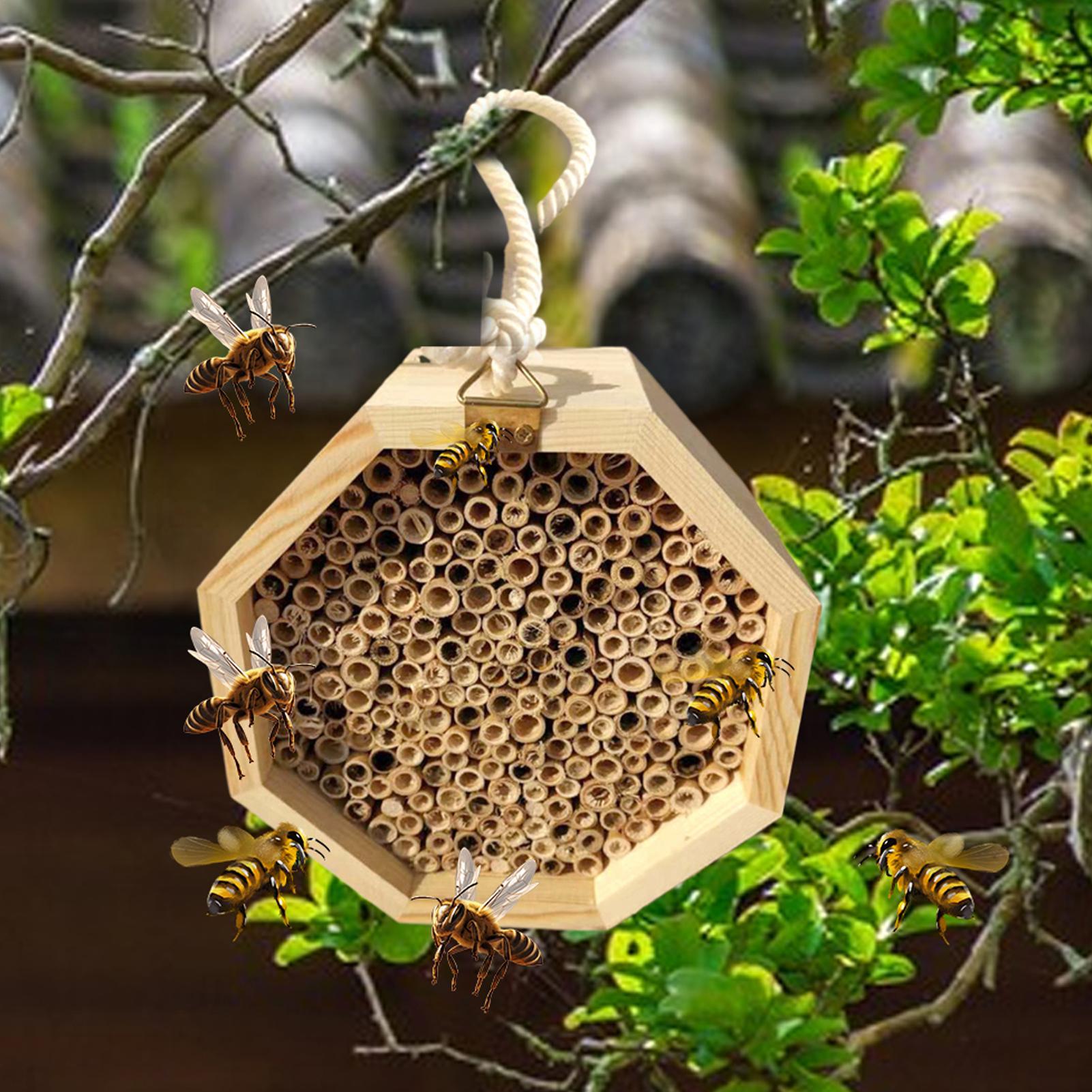 Wooden Insect Bee House Wood B - đánh giá và giá Insect Hotel Wood