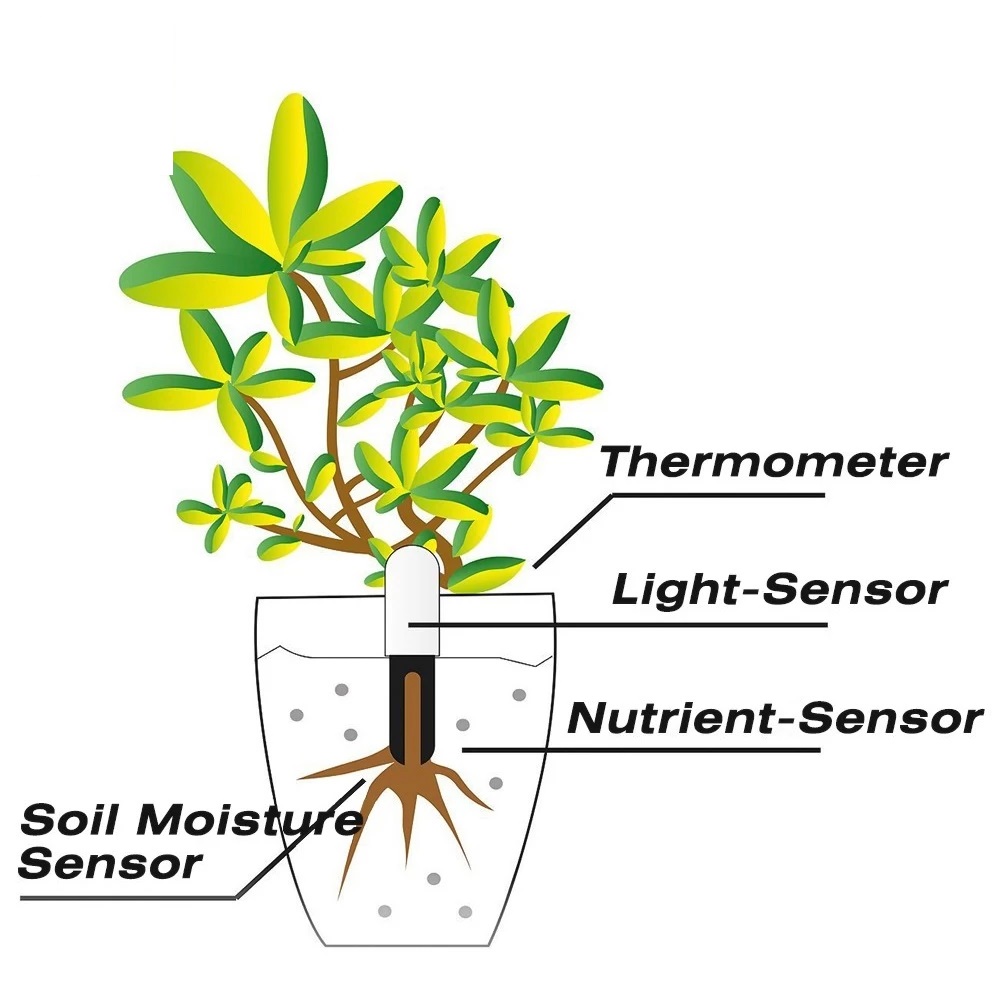 HHCC Flower Monitor Flora Gard - đánh giá và giá Smart Garden Sensors